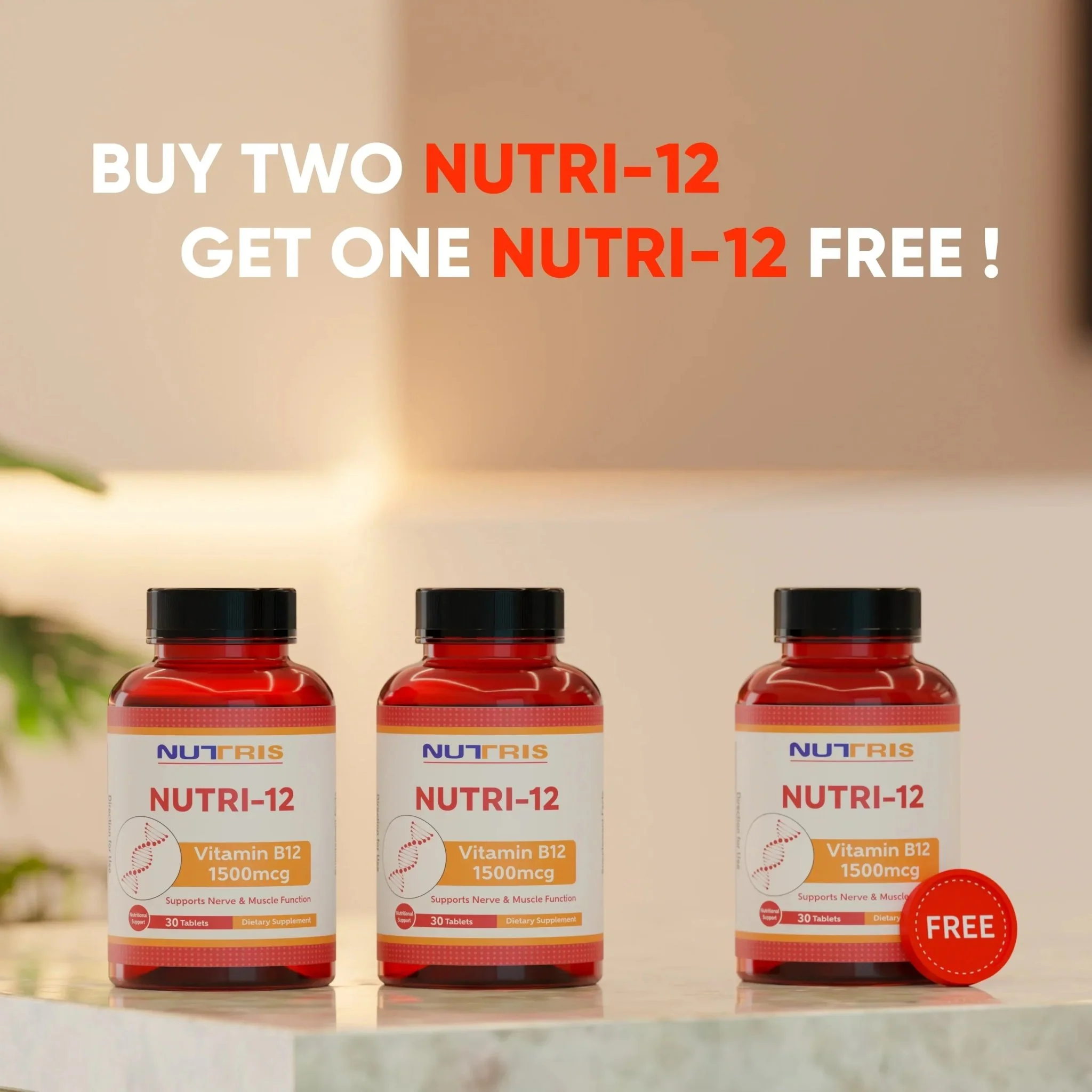 Nutri 12 - Vitamin B12 Supplement - Image 3